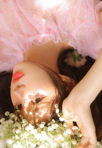 莲花楼电视剧免费观看完整版