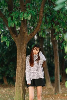 少年白马醉春风电视剧免费观看完整版